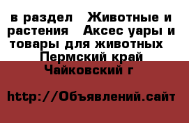  в раздел : Животные и растения » Аксесcуары и товары для животных . Пермский край,Чайковский г.